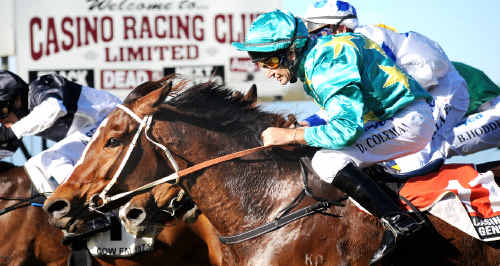 Darron Coleman on board Minus One in the Casino RSM Club Hcp (1400m) yesterday. Darron Coleman on board Minus One in the Casino RSM Club Hcp (1400m) yesterday.